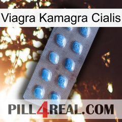 Viagra Kamagra Cialis viagra3